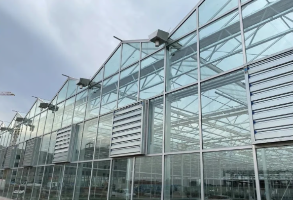 设施农业基建项目